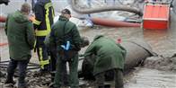 Modige teknikere ser nærmere på bomben, der blev fundet, da der var lavvande i Rhinen.
