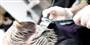article thumb image