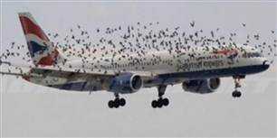 Her må piloten fra British Airways holde tungen lige i munden...