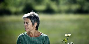 Margrethe Vestagers Facebookprofil er i løbet af ugen blevet overrendt af vrede indlæg, hvor brugerne kalder hende arrogant og egoistisk.