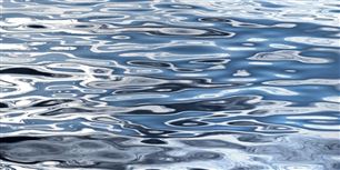 Tepco siger, at niveauet af cæsium i fisken svarer til 254,000 becquerel per kilogram, hvilket er 2540 gange mere end tilladt i havet af regeringen.