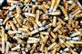 Cigaretskodder forgifter dyr og miljø