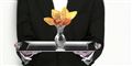 Ny trend: Importer en britisk butler