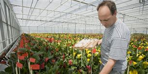 Der er efterspørgsel efter vikarer - blandt andet på landets gartnerier.