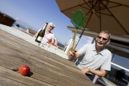 Fluesmækkeren får en travl sommer