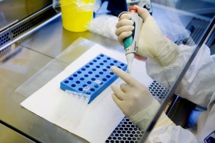 Virksomheder sikrer sig Tamiflu