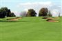 Golfstjerne tiltalt for millionsvindel