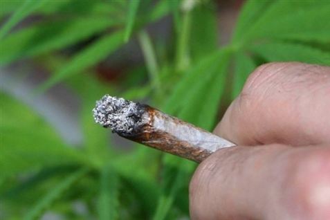 DF siger ja til hash