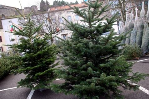 Hold klimafest med dit juletræ
