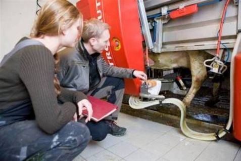 Skolepraktik får unge til at droppe ud
