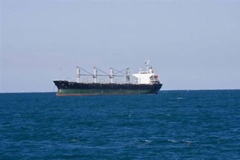 Faldt i Øresund og druknede