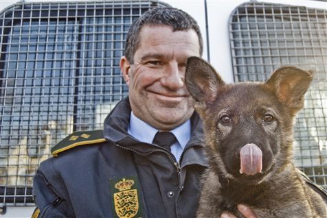 "Patruljehunde bliver opdraget til, at det er hundeføreren, der bestemmer. Han er den ubetingede flokfører, og på den måde lærer de, at de ikke skal fokusere på resten af hierakiet i hundeflokken," siger Esters far Søren Bjeverskov.  <b>Foto: Julie Moestrup</b>