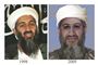 Osama bliver aldrig fanget i live
