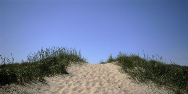 Fandt skelet på stranden