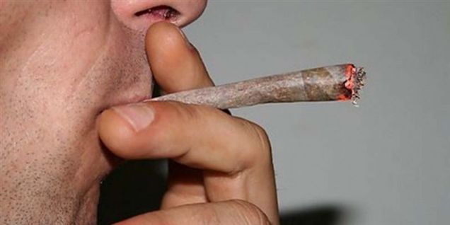 Vi ryger stadig 20 ton hash om året