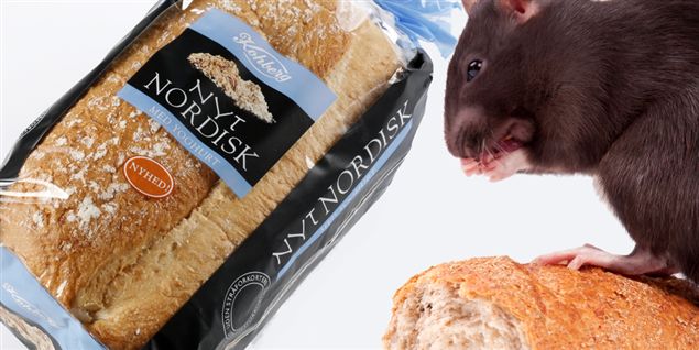 Der var pels fra en mus i Kohberg-brødet