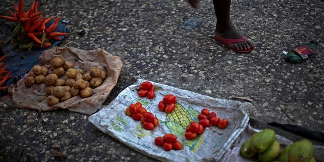 Konflikt om mad og landbrug i Haiti