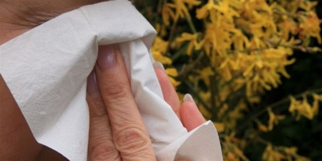 Ny mirakelpille til allergikere