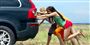 article thumb image