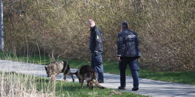 Farlig drabsmand fanget
