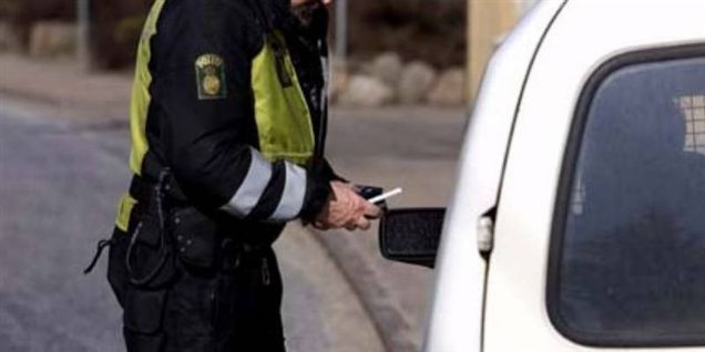 S og SF vil ændre grænsekontrol efter valg