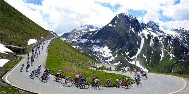 Fuglsang nummer tre i Schweiz