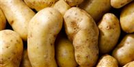 Der er tale om frugt og grønt produceret fra 11. - 16. juni, som har haft rottebesøg