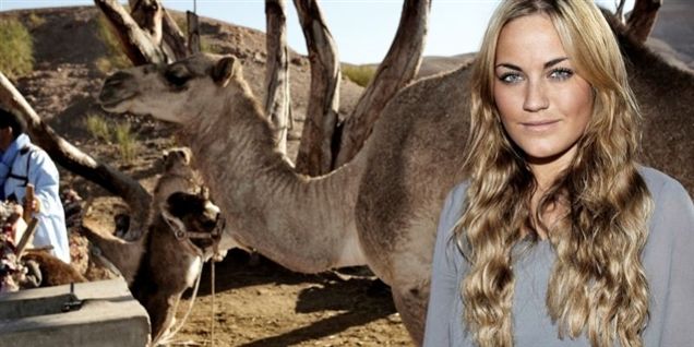 Amalie makrel-overfaldet på Roskilde Festival