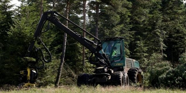 Træfældning i Østerild færdig på rekordtid