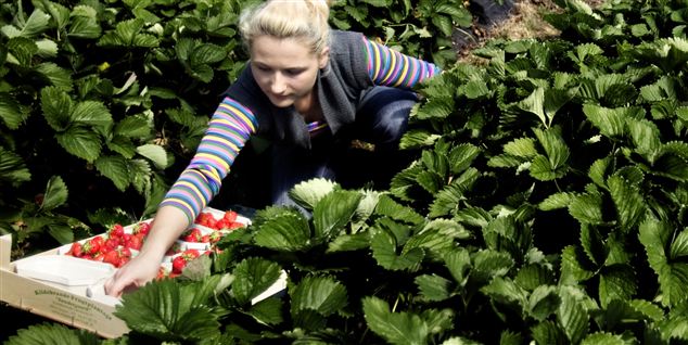 Er du løst ansat? Så er din løn nok lavere