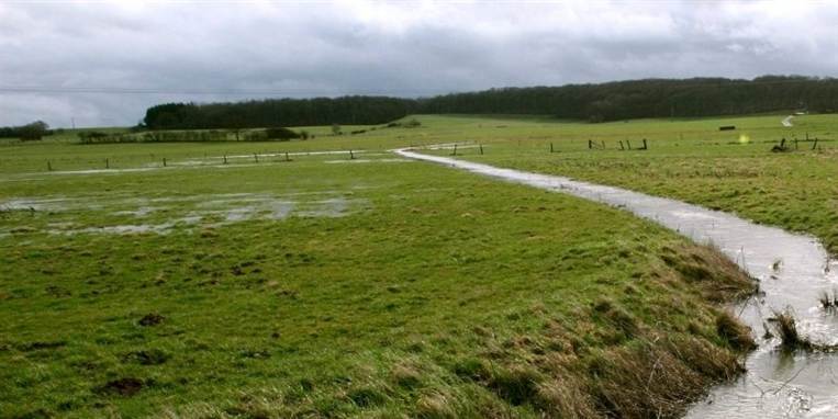 Landbruget er utilfredse med de kort, der er blevet lavet over vandløb og randzoner.
