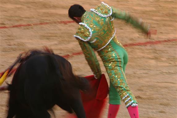 Sådan ender det for de fleste af tyrene, som er ufrivillige hovedpersoner i Pamplona