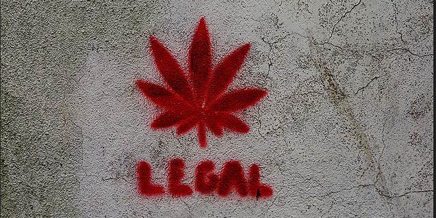 Over hele verden er der bevægelser for at legalisere marihuana. Nu tager Uruguay føringen med politisk forslag om at legalisere stoffet.
