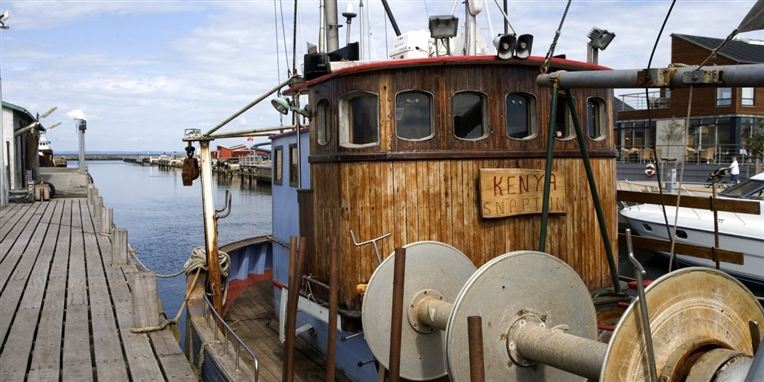 Rejseholdet fandt 200 kilo fladfisk, fiskefileter og andre udskæringer af fisk i et kølerum og i en større kummefryser i lokalerne.