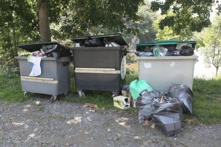 Hvert år ryger mange tusind kilo mad direkte i affaldscontaineren
 Foto: Colourbox
