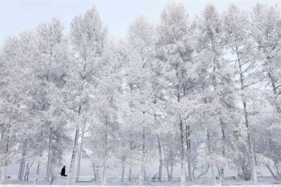 Frosten hærger i Xinjiang-provinsen i Kina i denne tid. Meteorologer anslår, at der bliver 45 frostgrader.