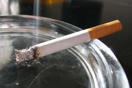 Cigaretter og rygetrang bliver ikke bekæmpet på gratis kurser 
 Foto: Tomasz Sienicki/GNU/wikimedia