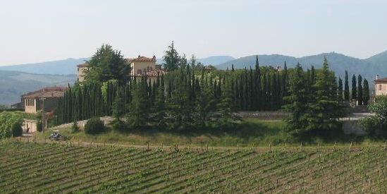 Ugen bringer lidt af hvert. En helt igennem lækker vin fra Argentina, som er meget dyr. Men ogsået fantastisk tilbud: Italienske mousserende dråber fra Asti. Lavet på Moscatodruen og god tilden søde tand og som aperitif. Derudover en Supertoscaner, der nok er meget dyr, men som ogsåsmager fremragende.
