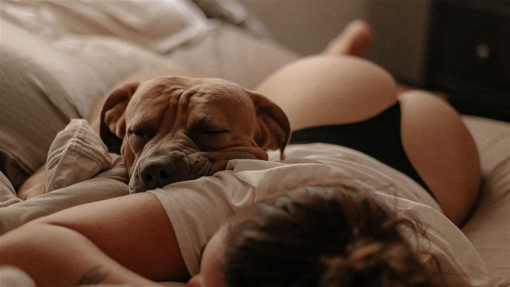 kvinde og hund i samme seng