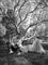 Sorthvidt billede af en siddende prins Harry i bare fødder og engravid Meghan som ligger ned med træer i babbggrunden 