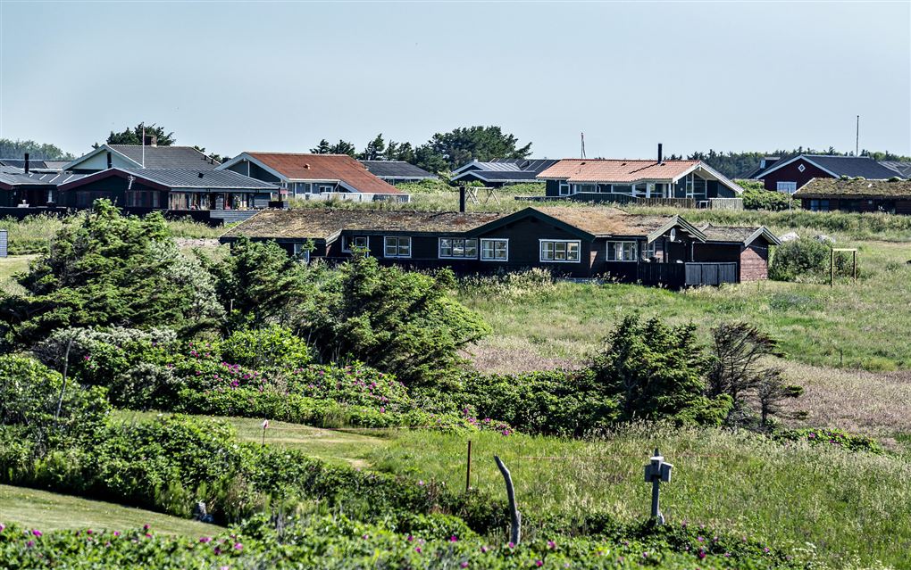 Sommerhuse i grønne områder