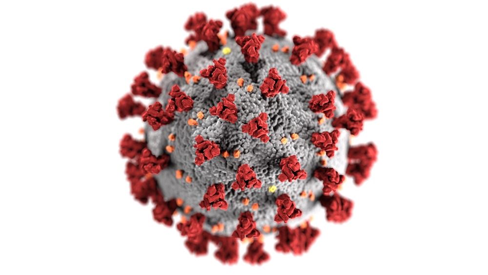 billede af coronavirus 