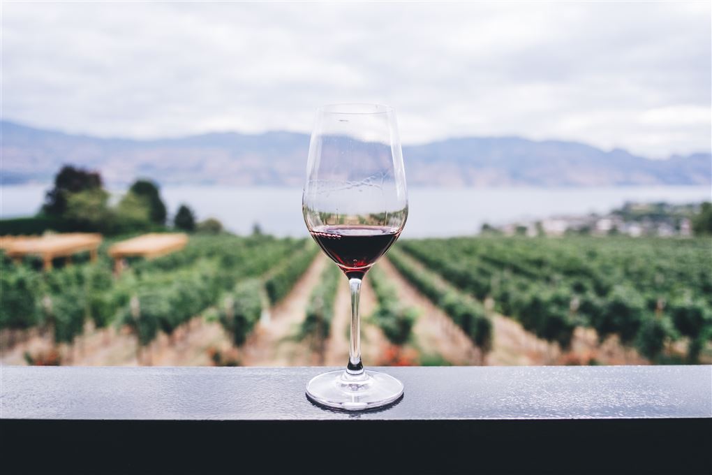Et glas vin foran en vinmark