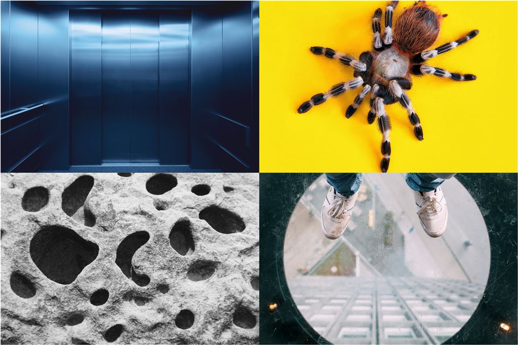 Fire billeder med hhv. en edderkop, huller, højde og et lukket rum