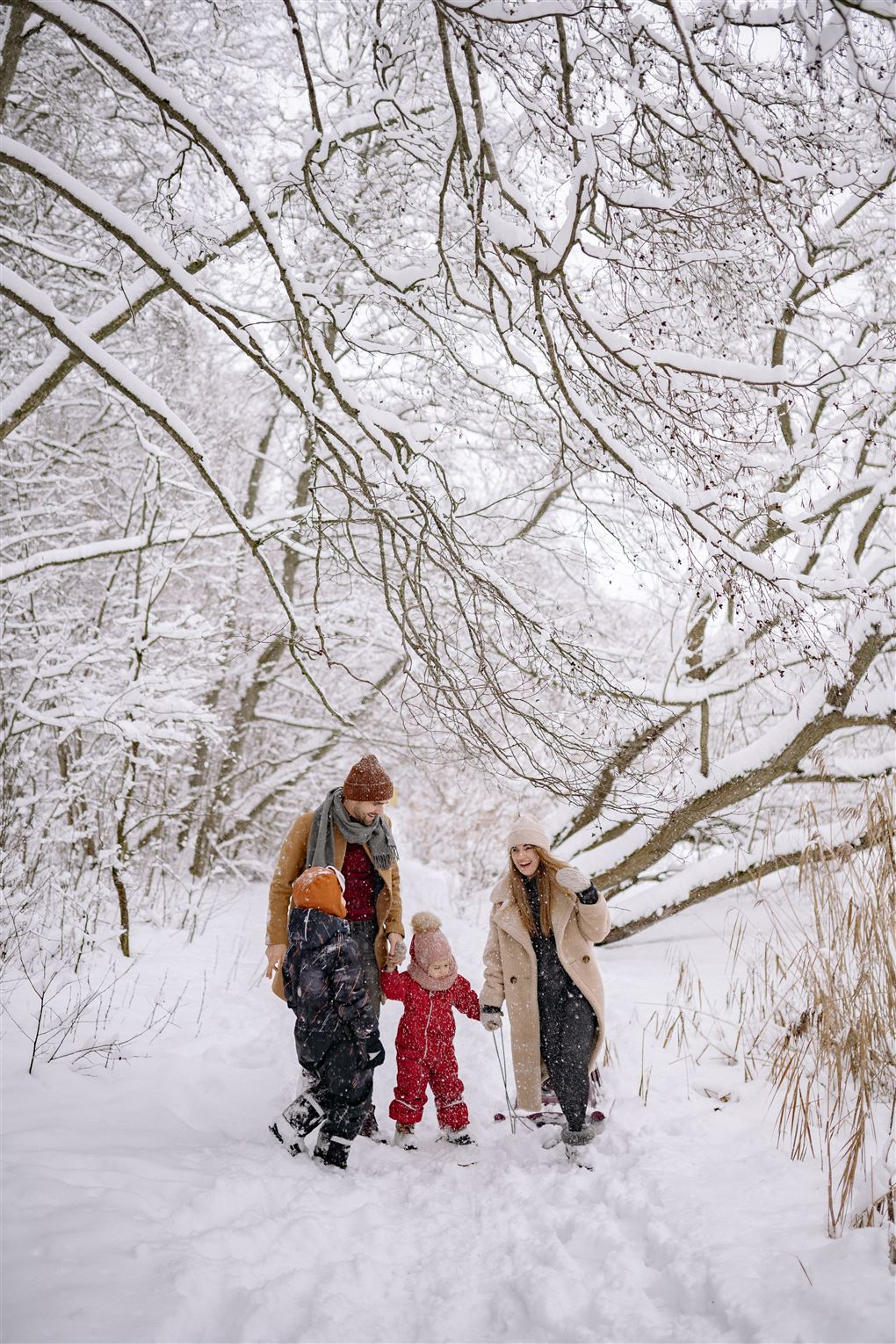 Familie i sneen