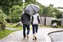 par går med paraply