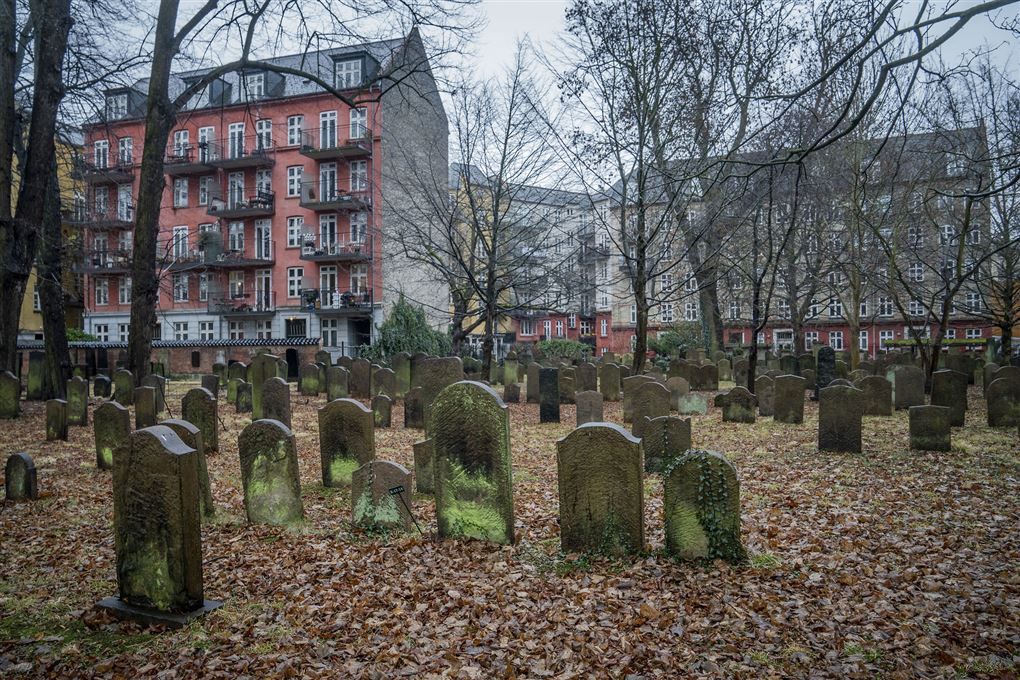 kirkegård i københavn
