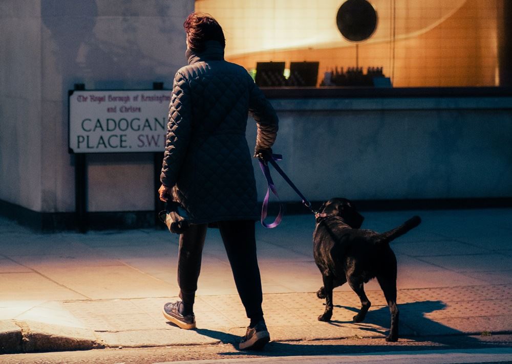 person lufter hunden i mørket