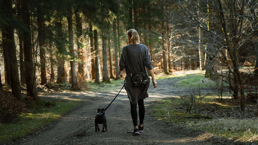 kvinde går tur med hunden