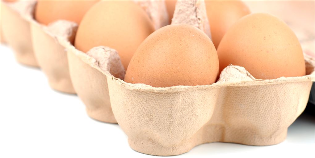 Kogte æg holdbarhed udenfor køleskab